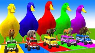 5 Giant Duck Cartoon,Cow,Mammoth,Tiger,Lion,Dinosaur,Paint Wild Animals Crossing Fountain Animation