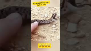 Good vibes #viralvideo #funny #shortvideo