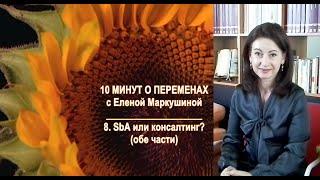 8 - SbA или консалтинг? 10 минут о переменах