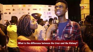 What is the difference between the Liver and the Kidney? | KraksTV Funny Viral Video