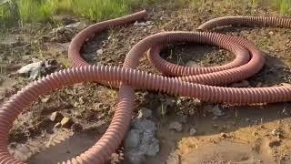 Đấu Giá Tiên Yên - 92m2 - Thoáng Sau 4m, Vỉa hè 3-4m Tùy Lô - Lòng Đường 6-7m Tùy Lô