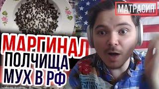 Маргинал смотрит как мухи в РФ пожирают людей
