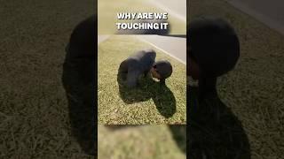 Rating Touch Grass Together #gaming #funny