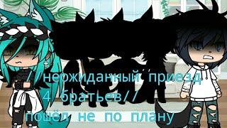 //Неожиданный приезд братьев //что-то пошло не так