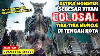 KETIKA SEORANG WANITA TAK SENGAJA MENCIPTAKAN MONSTER RAKSASA SEBESAR TITAN | Alur Cerita Film