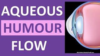 Aqueous Humour Eye Circulation Flow Animation: Open-Angle vs Closed-Angle Glaucoma