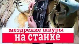 Мездрение шкуры на станке. Домашняя выделка шкур