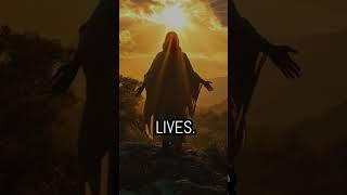 Seek Jesus #seekjesus #reward