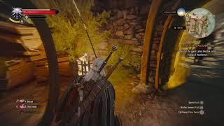 The Witcher 3: parkour