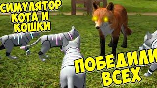 Симулятор КОТА и КОШКИПобеда над боссом cat sim (кат сим)