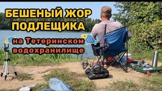 Бешеный клев.Фидерная рыбалка на тетеринском водохранилище#рыбалка #фидер #поклевка #fish