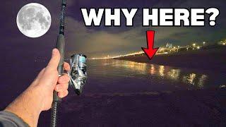 HUNDREDS of Anglers Fish Brighton Beach at Midnight - Let Me Show You Why!