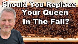 Beekeeping Inspection & How To Deal With A Failing Queen