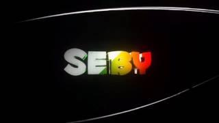 INTRO SEBYRO Gaming V2