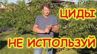 что такое пестициды гербициды фунгициды? простым языком про ЦИДЫ!!! для чего нужны гербициды