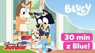  30 MINUT z Blue i jej rodzinką! | Blue | Disney Junior Polska