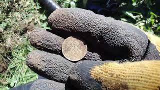 búsqueda de monedas en placilla