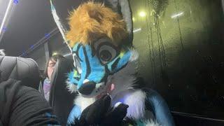 I’m In Suit! | Midwest FurFest 2023