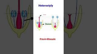 Heterostyly | Out breeding devices | Pravin Bhosale