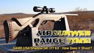 Gamo Shadow GR .177 Kit Range Time - How does this budget airgun Shoot? - a Gamo USA Exclusive!