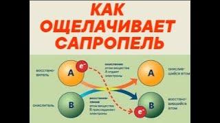 ОВП  Окислительно восстановительный потенциал сапропеля