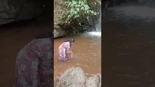 Devala falls  # Yazh kitchen# shorts