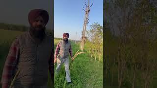 Pind fun time