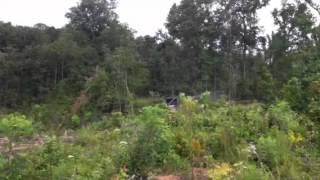 Forestry Solutions Skidder Spraying