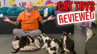 Cat Expert Reviews Bestselling Cat Toys on Amazon…And One is Actually DANGEROUS!