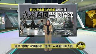 台风"康妮"吹倒大树压毁汽车   车主侥幸捡回一条命 | 八点最热报 01/11/2024