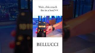 This Couch Sets Up 10x Faster Than Anything You've Seen ️