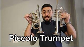 Piccolo Trumpet | Daniel Leal - Qual a diferença entre eles?