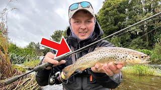 I got SOAKED but the Fishing was worth it! Lure fishing for TROUT!