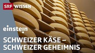 Schweizer Käse: Was macht Gruyère und Co. so einzigartig? | Einstein | SRF Wissen