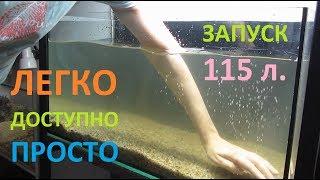 Учимся запускать аквариум / 115 литров / Доступно и просто