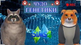  The Sims 4 Кошки и Собаки: Challenge Чудо Генетики: ЛИСА | ЕНОТ