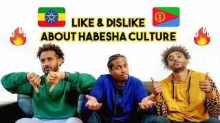 THINGS WE LOVE/HATE ABOUT ERITREAN AND ETHIOPIAN (HABESHA) CULTURE | FOOD, FAMILY AND RACE  