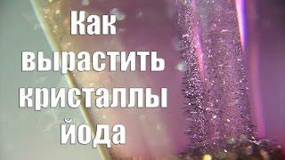 Как вырастить кристаллы йода. Красивые опыты.