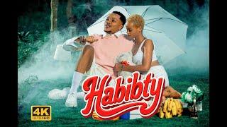Aslam Tz – Habibty  (Official Music Video)