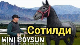 МИНИ БОЙСУН ТОЙИМНИ СОТАМАН.. BUNISI NIMA DEYSIZ TOYNI KOʻRING MINI BOYSUN..#otbozor #horse #rek