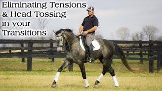 Eliminating Tension and Head Tossing During Transitions