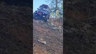 Axial SCX10iii #Jeep Gladiator #RTR #RC 1/10 Scale Off-road Forest Experience