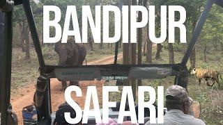 Bandipur Jeep Safari experience | Jungle Lodges | Amazing Sighting