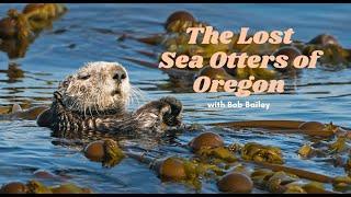 Lost Sea Otters of Oregon