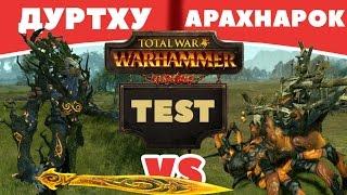 Дуртху против Арахнарок | Тесты Total War: Warhammer