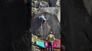 Three Pocket Slab f6a - Roaches