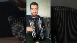 Tico Tico #accordion #accordioncover #music #akordeon #cover #instrumental #rolandfr8x #accordionist