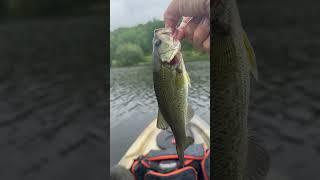 Loving this lake Ashroe ￼