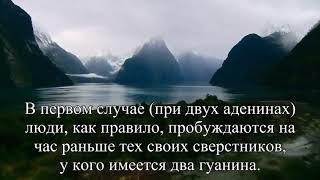 Ученые нашли ген, предсказывающий время смерти  — Статья