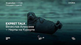 Вячеслав Алексеев. Expert talk. Нерпы на Курорте